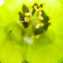 ddos攻击防御手段